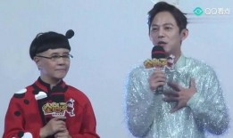 黄磊爆料节目视频大全集,揭秘娱乐圈幕后故事